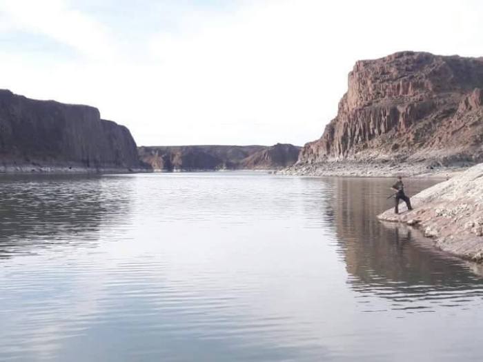 13882156_1118902494855857_2933334726455705752_n