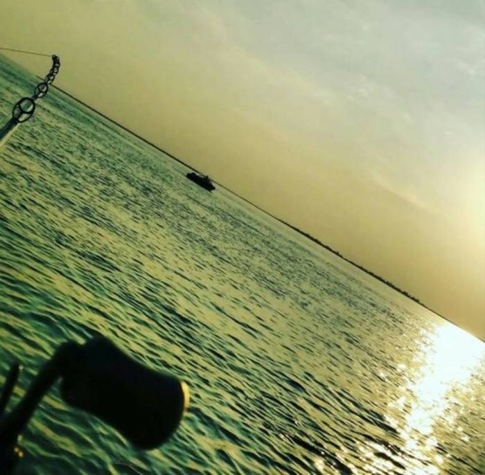 13886499_1118893614856745_1652697751745763729_n