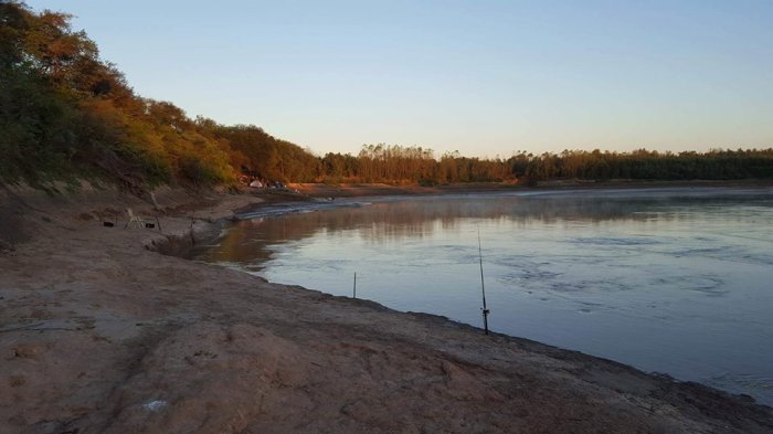 13939497_1113535555392551_2015798013064558912_n