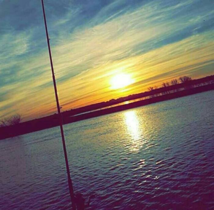 13939556_1121357274610379_2794281026540530971_n