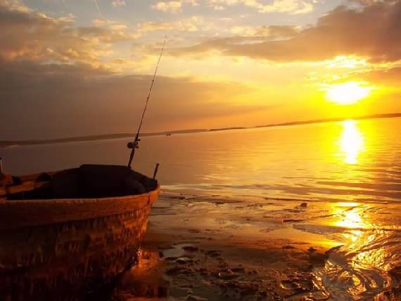 14021646_1127240197355420_4647430467570571199_n