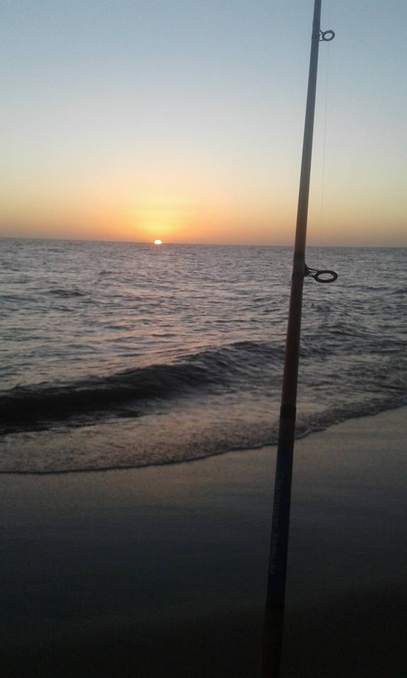 14100357_1826915914205657_1025903185312655600_n