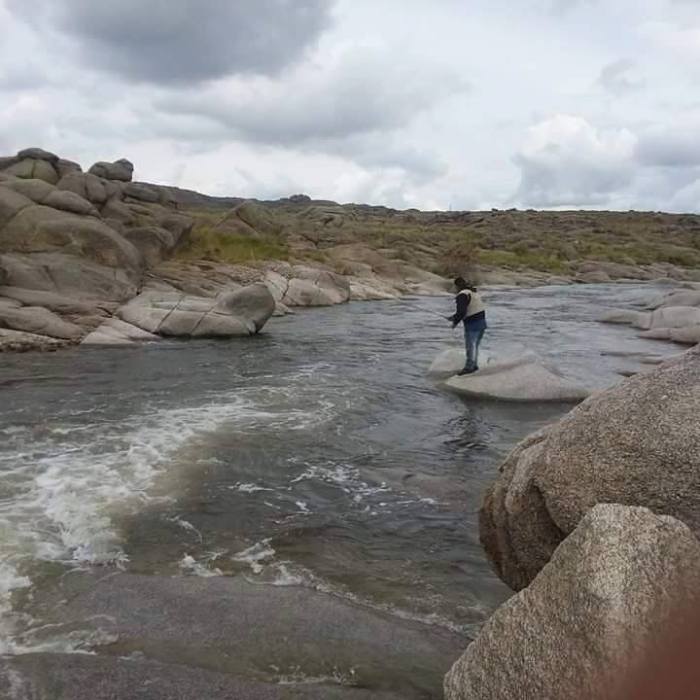 15181326_1217139888365450_959378871533940334_n