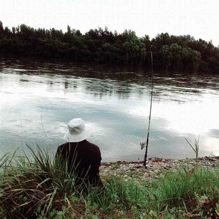 15232309_1217144785031627_7041269398832069113_n