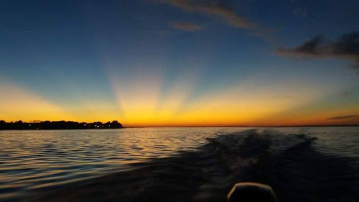 15622223_1251963954883043_3412444760651799415_n