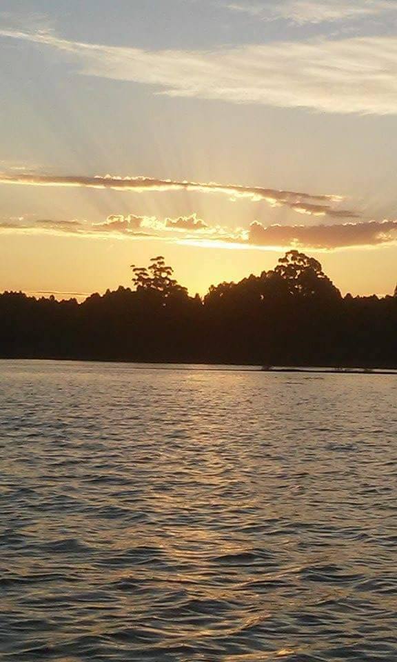 15622363_1251908424888596_7650597742243710716_n