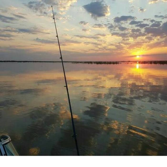 15697857_1257212017691570_6743517976671570216_n