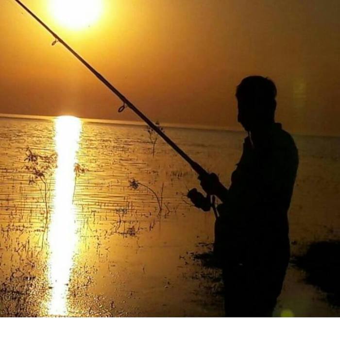 15740806_1258175850928520_3269430100864202405_n