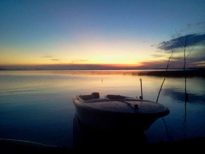 1908045_920318661380909_5465219474686435826_n