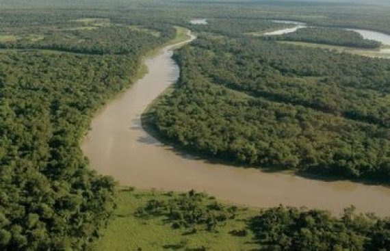 2009-12-14-c3-882142