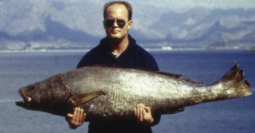 portada-totoaba-500x262