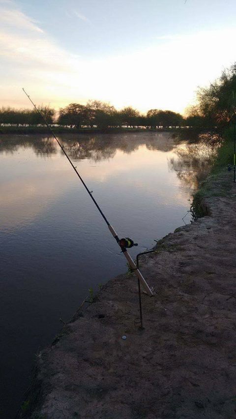 17834767_1384149184997852_9089272302386067477_o