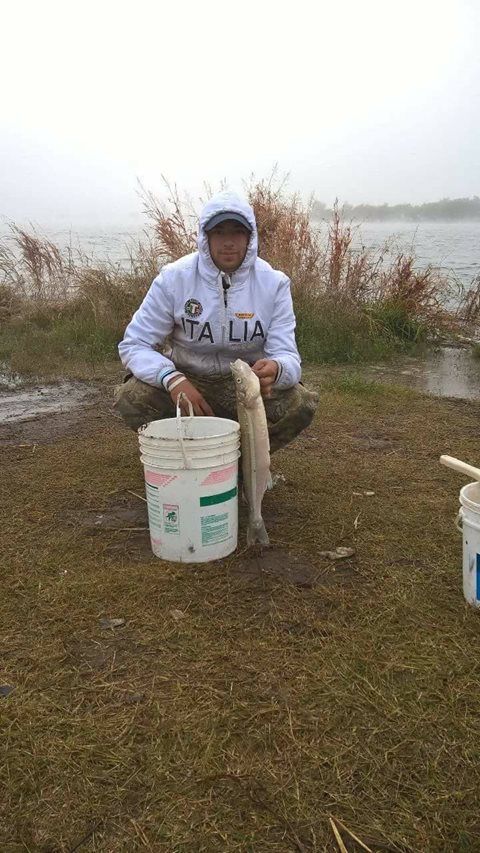 17972145_1384133261666111_1701471724572823166_o