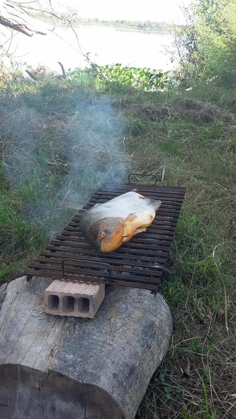 17973925_1384152731664164_875491822274956526_o