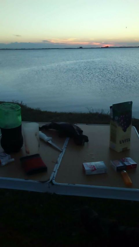 17990293_1382536901825747_5707629474485794967_o