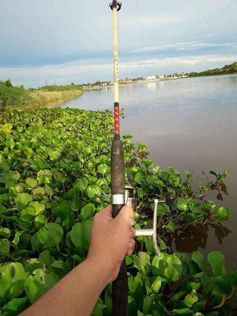 17990828_1384161768329927_2600558947163642160_n