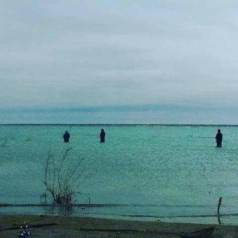 17990928_1384131954999575_4390892658954874524_n