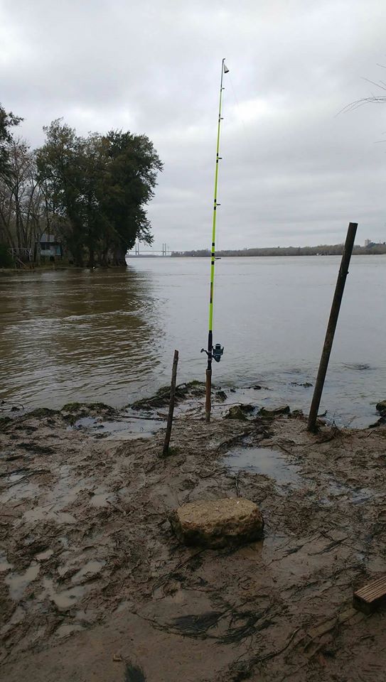 17991640_1384144258331678_2432651931588362115_o