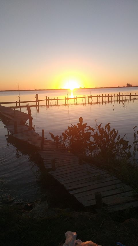 18055863_411782602523334_8745227962174393061_o