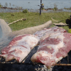 Asado 1