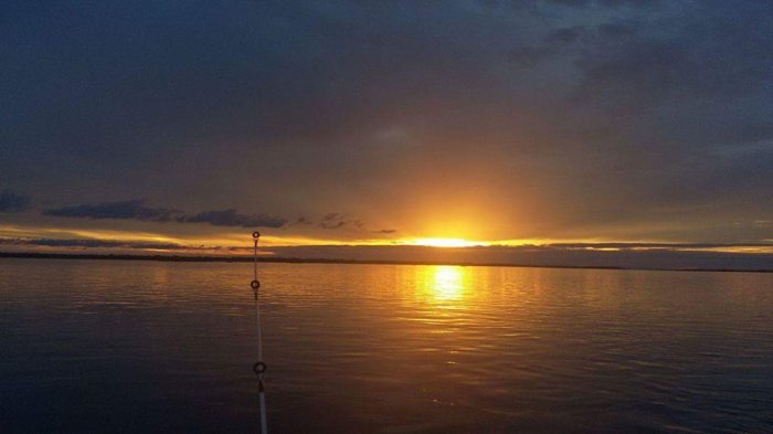 16114477_1276695022409936_2639397466629733961_n