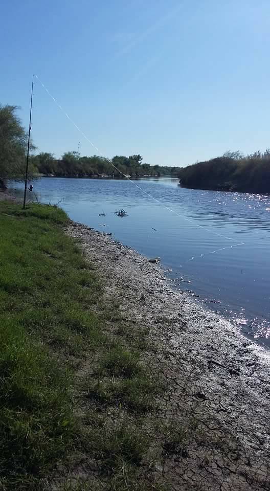 16195206_1292328584179913_8496997408632456598_n