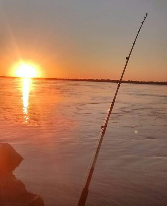 16266239_1292316030847835_6503129990917143962_n