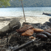 Pesca Asado 3