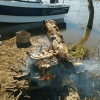Pesca Asado 7