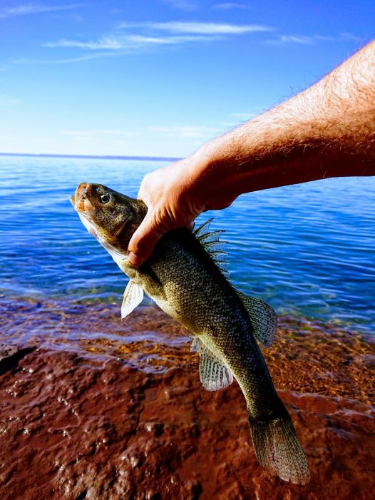 80d01881-b296-4c9c-b77b-fbf472099a33