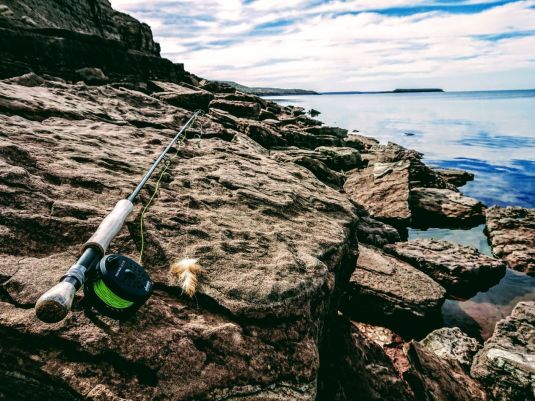 a1a3a1ea-ed38-4738-92d4-b009e6872f41