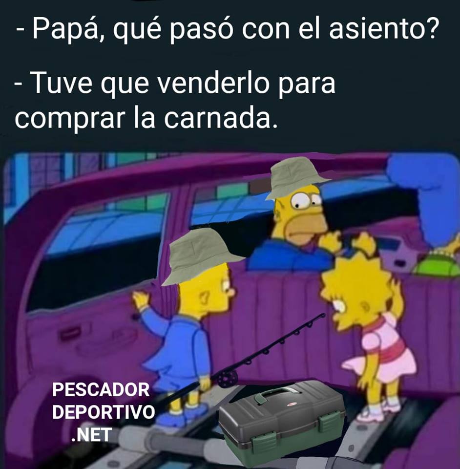 51915479_2237720806307348_236739563723161600_n