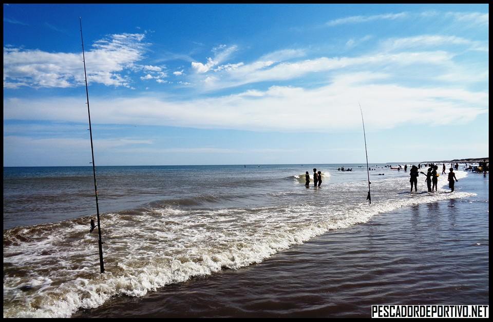 535125_971974772881964_7034501467122522303_n