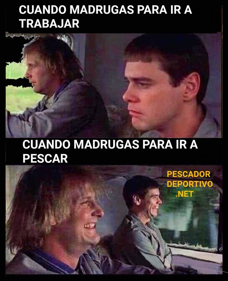 54525864_2298452296900865_587730716423356416_n