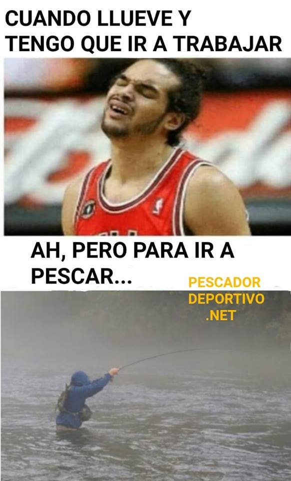 56236149_2311758005570294_5079642140053602304_n