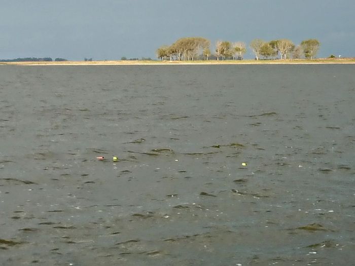 a67d4c90-69e6-4543-aa94-8fc9faf98819