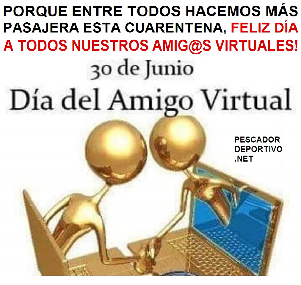 Amigos virtuales