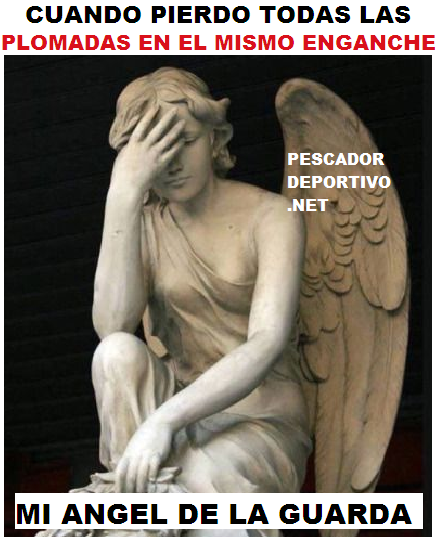 ANGEL DE LA GUARDA PLOMADAS