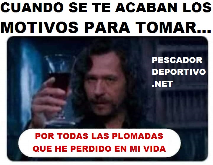 BRINDIS POR PLOMADAS