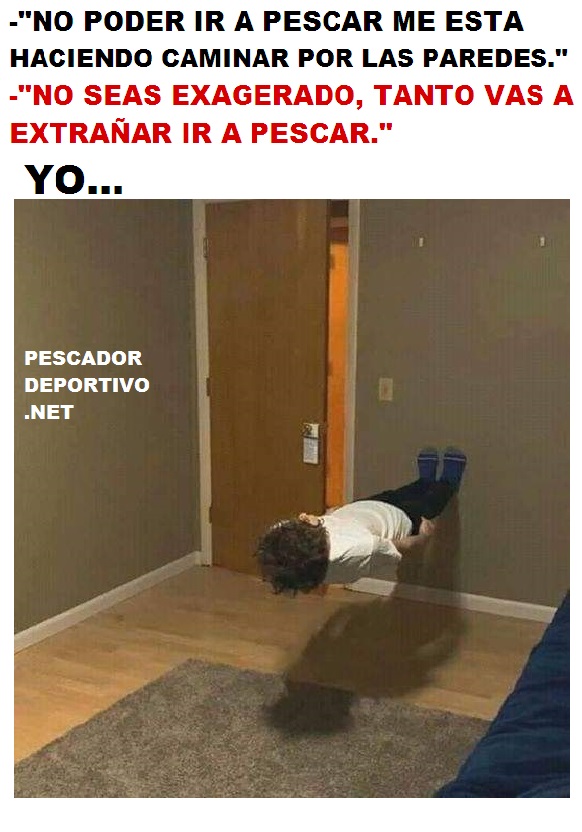 CAMINAR POR LAS PAREDES