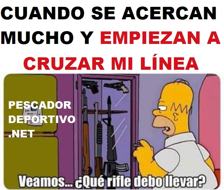 CRUZAR MI LINEA