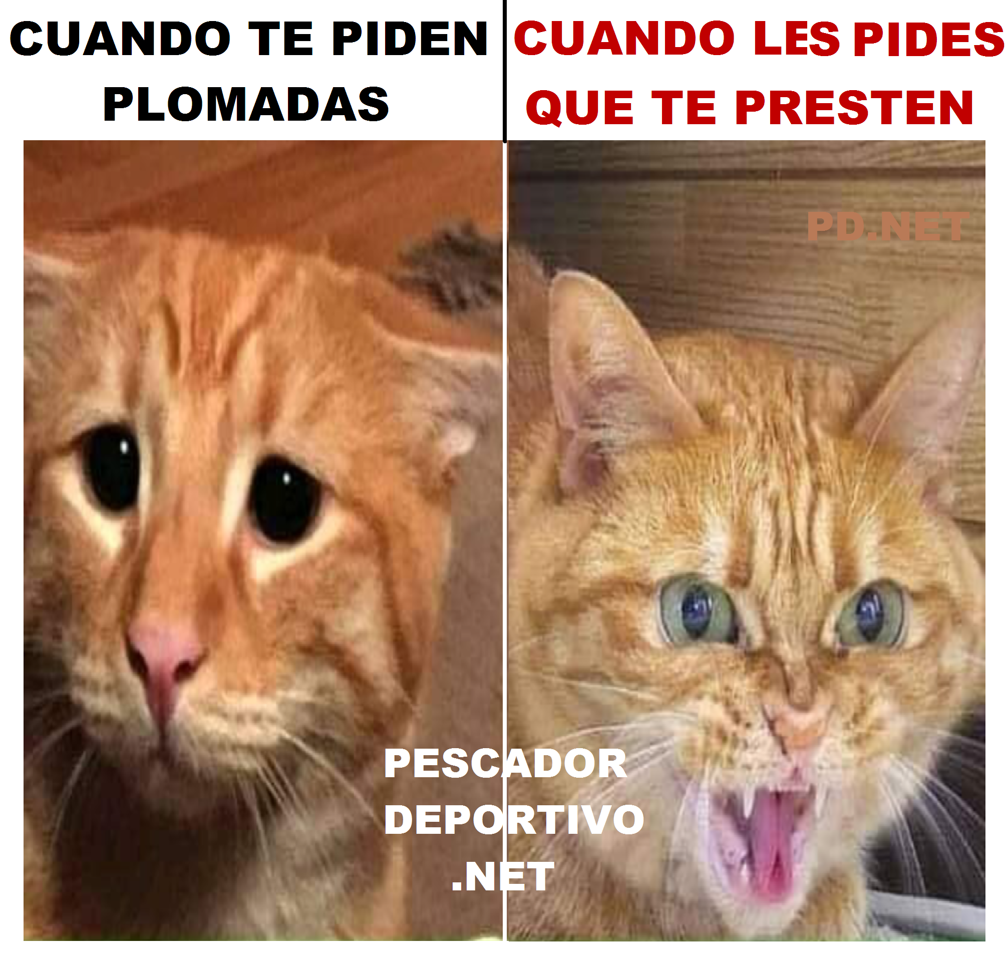 CUANDO LE PIDES QUE TE PRESTEN