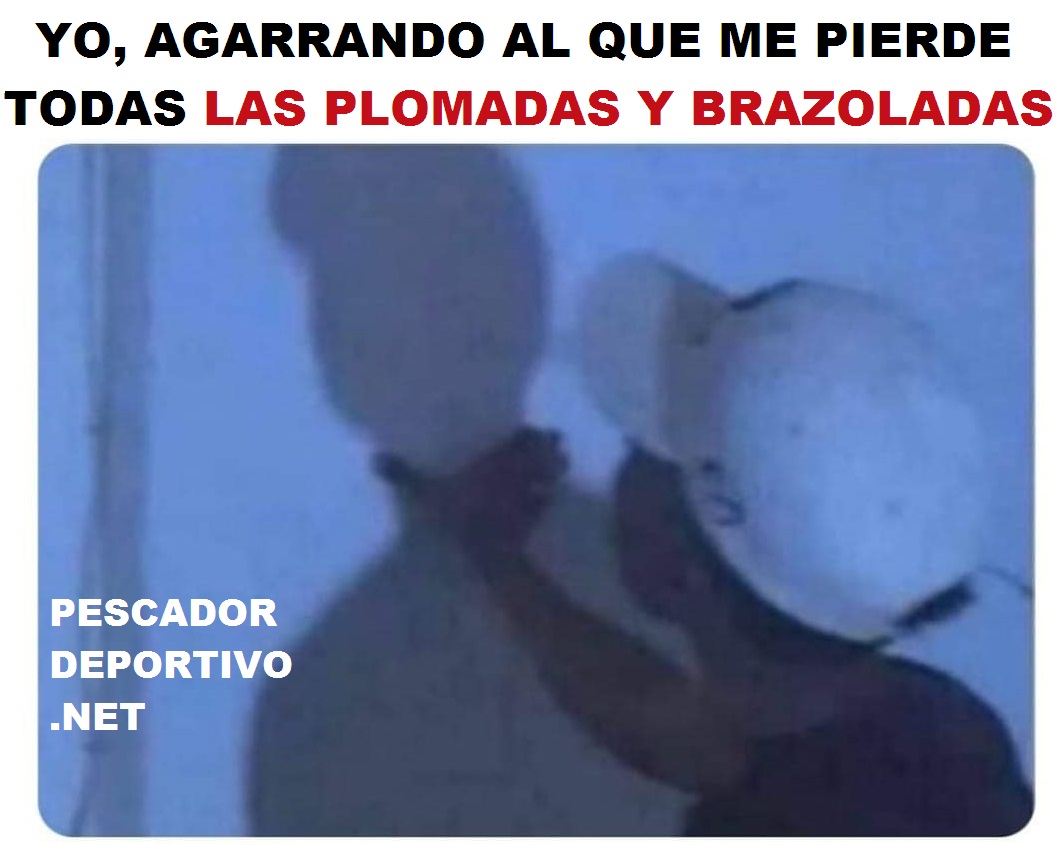 EL QUE PIERDE PLOMADAS