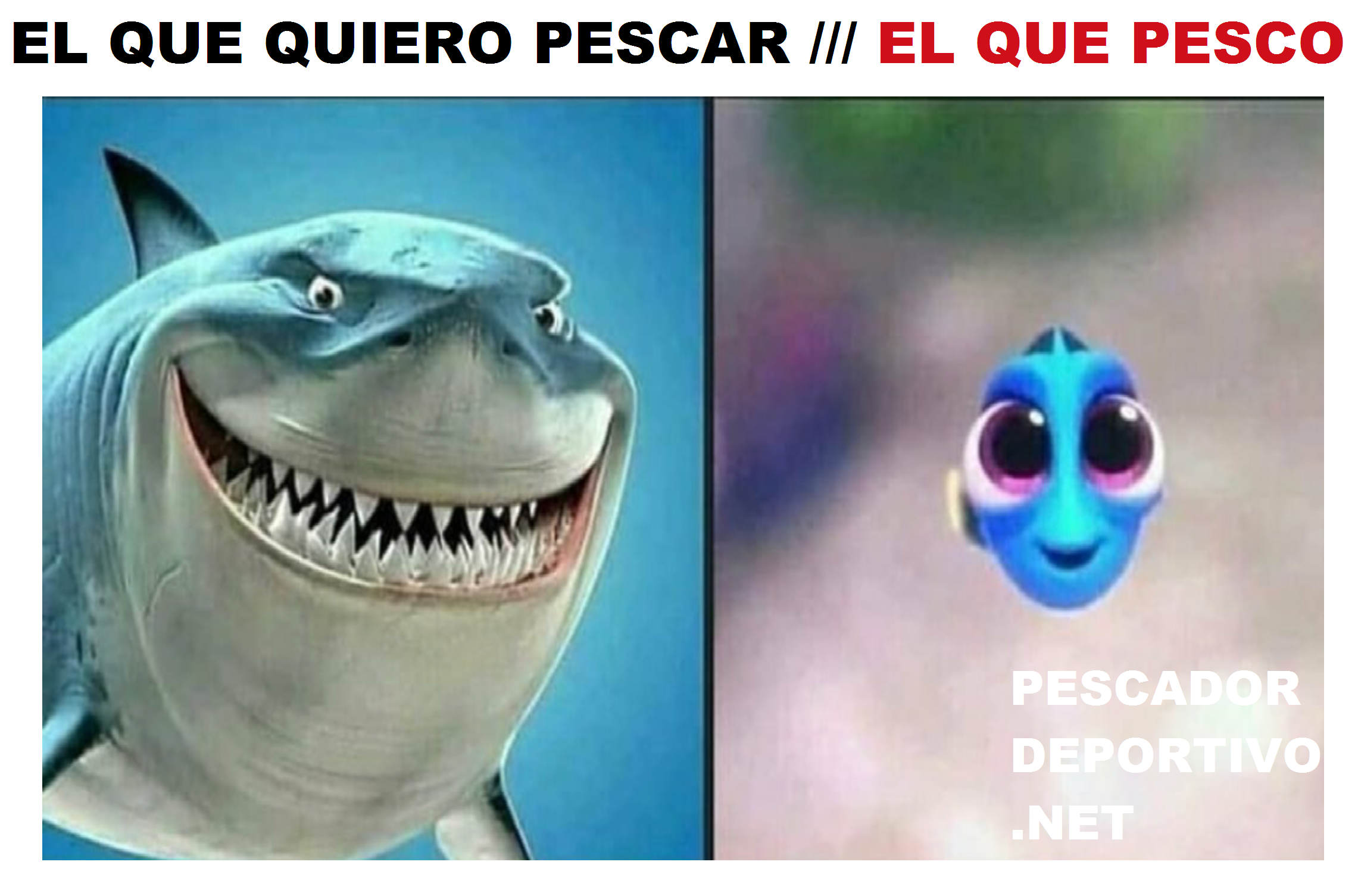 EL QUE QUIERO PESCAR