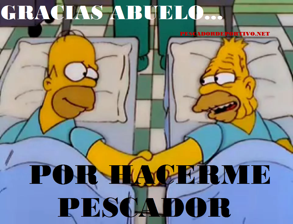 Enseña pesca - copia