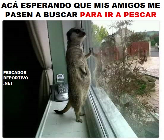 ESPERANDO IR A PESCAR