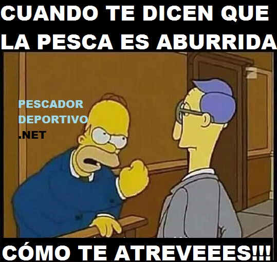 FB_IMG_1588433285728