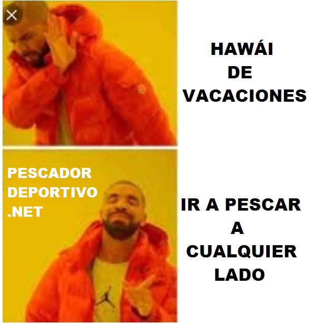 HAWAI DE VACACIONES