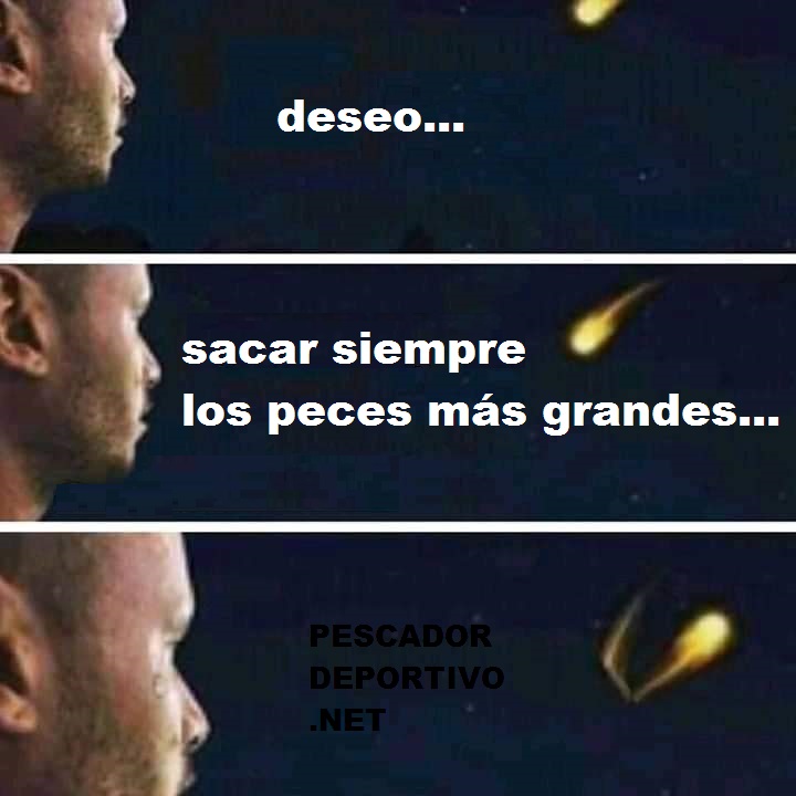 Los peces más grandes