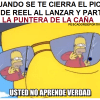 MEME HOMERO